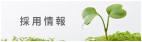 採用情報